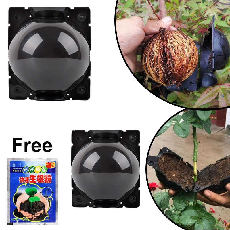 10Pcs Plant grafted box Reusable Plastic ball shape box High pressure ...