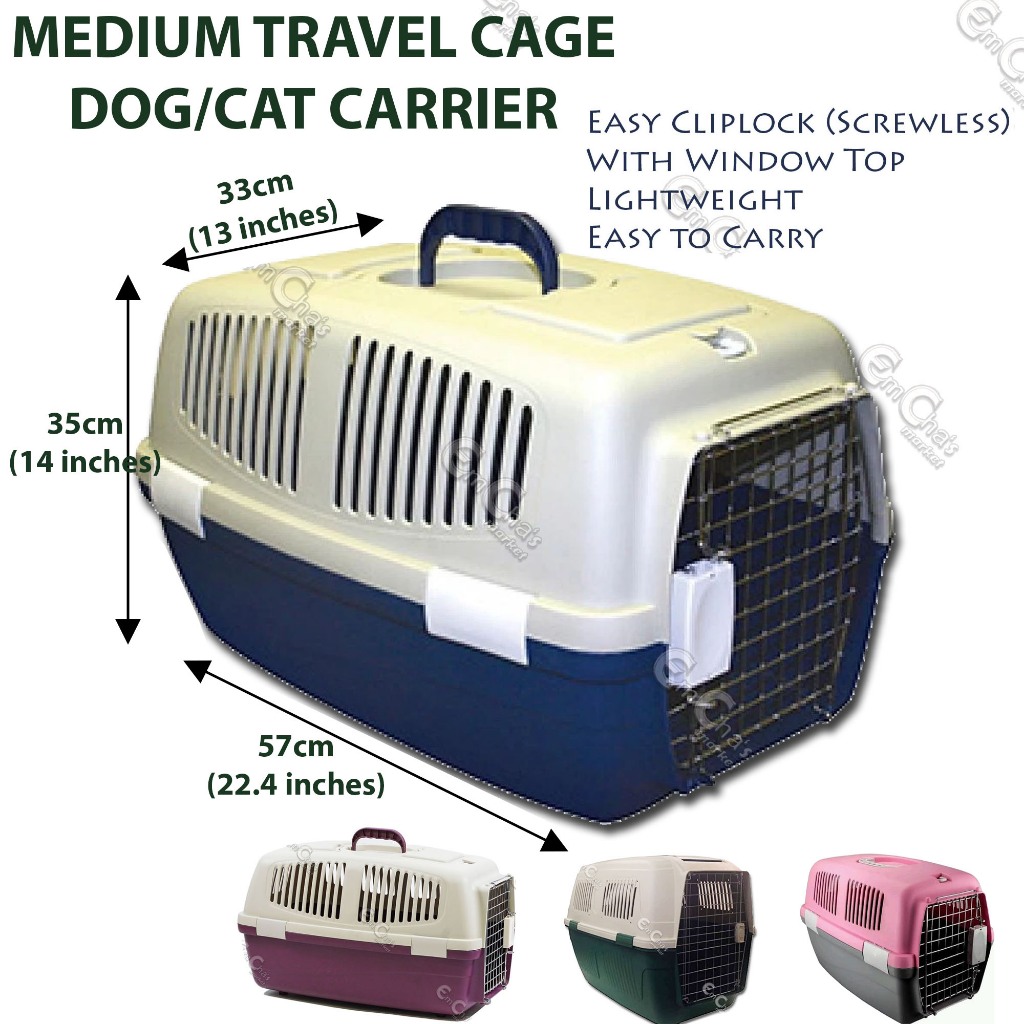 Hard case cat carrier best sale