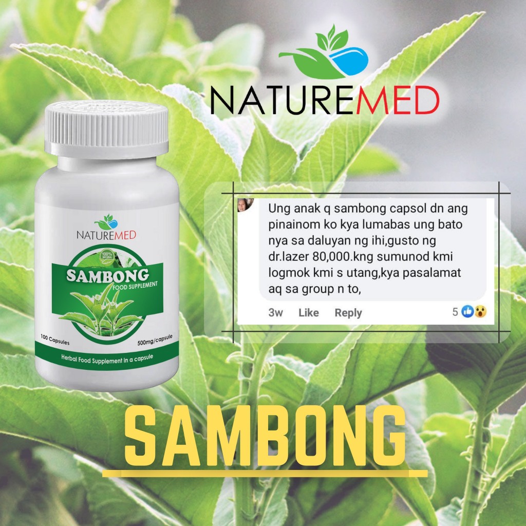 1 Bottle NatureMed SAMBONG CAPSULE(Anti-UTI, Goods for Kidney/100 ...
