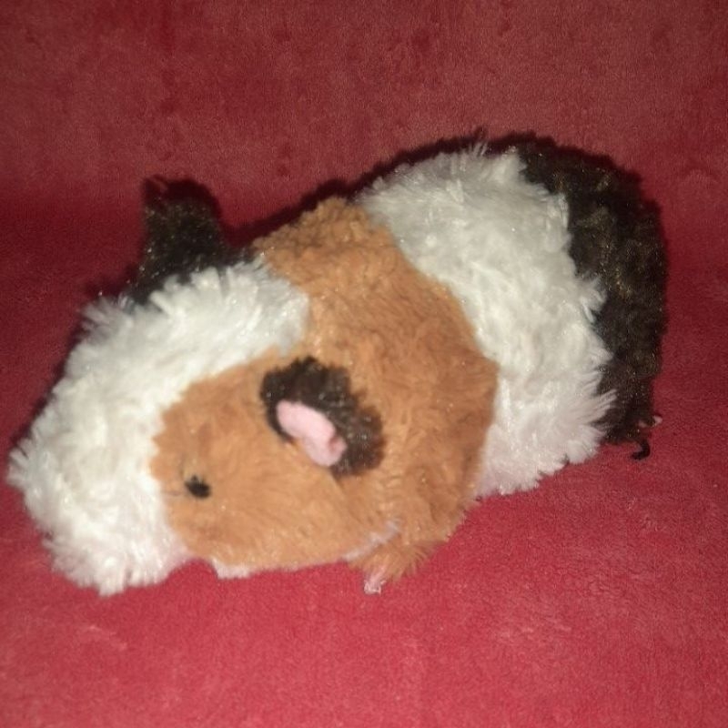 Guinea pig plush on sale