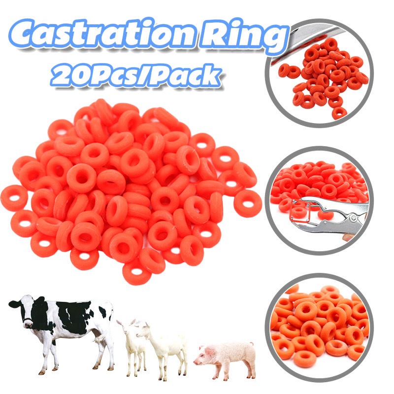 20/40/100Pcs Castration Ring Livestock Castration Forcep Plier Rubber ...