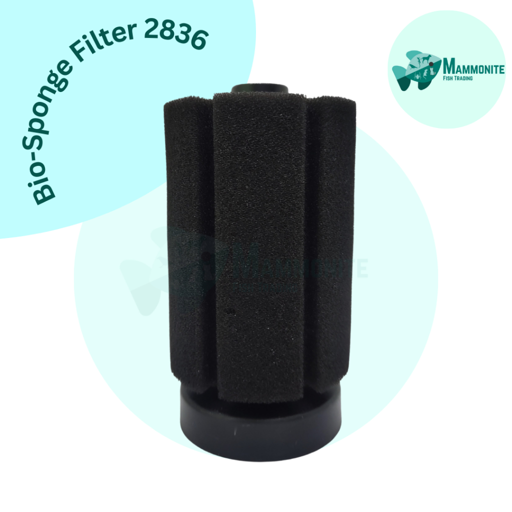 Bio Sponge Filter XY 2836 5.5x8.3cm Aquarium Filtration Clean Water