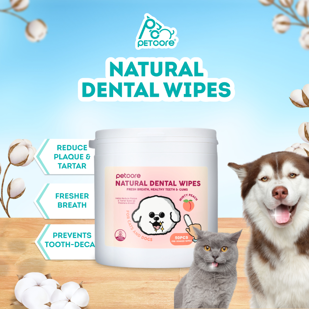 All natural dental outlet wipes for dogs