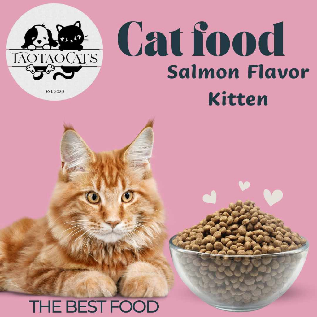 taotao cats organic cat food DRY FOOD and other taotaoopets brand