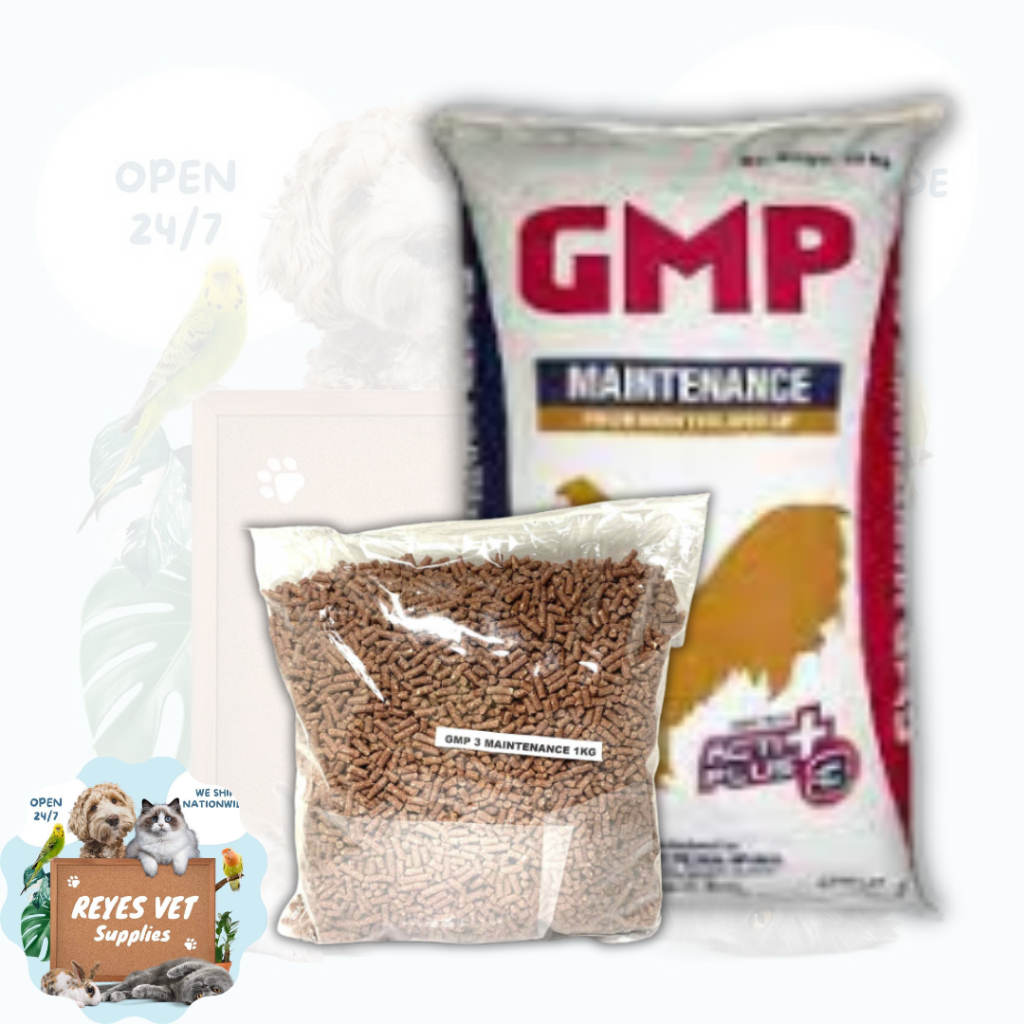 [VET SUPPORT ll] GMP Maintenance for Gamefowl Fighting Cocks / Repacked 1kg 2kg 3kg Shopee