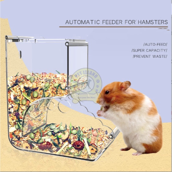 Picture of Small pet animal Hamster Hedgehog Guinea Pig Food Bowl clear view ...