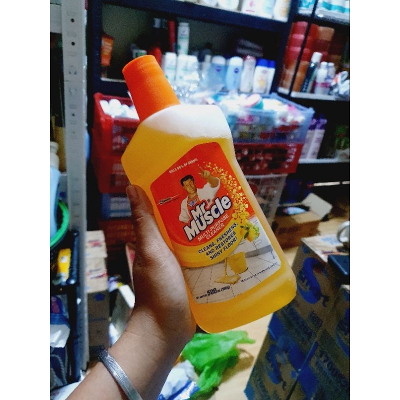 MR MUSCLE ALL PURPOSE CLEANER 500ML Shopee Philippines