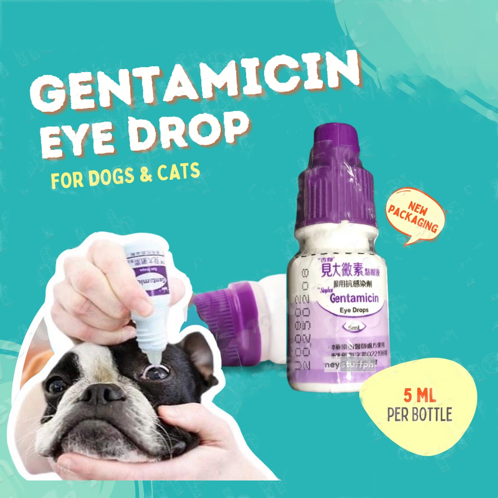 Gentamicin Eye Drops for Pet Cat Dogs Eye Infection treatment Shopee