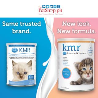 Bear brand milk outlet for kitten