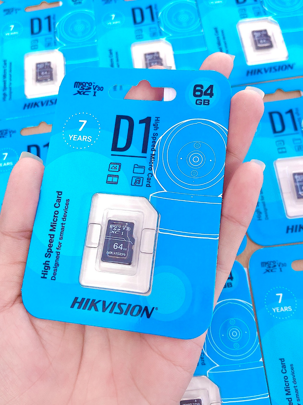 HIK MICRO SD CARD D1 for SURVEILLANCE | HS-TF-D1(STD) | Shopee Philippines