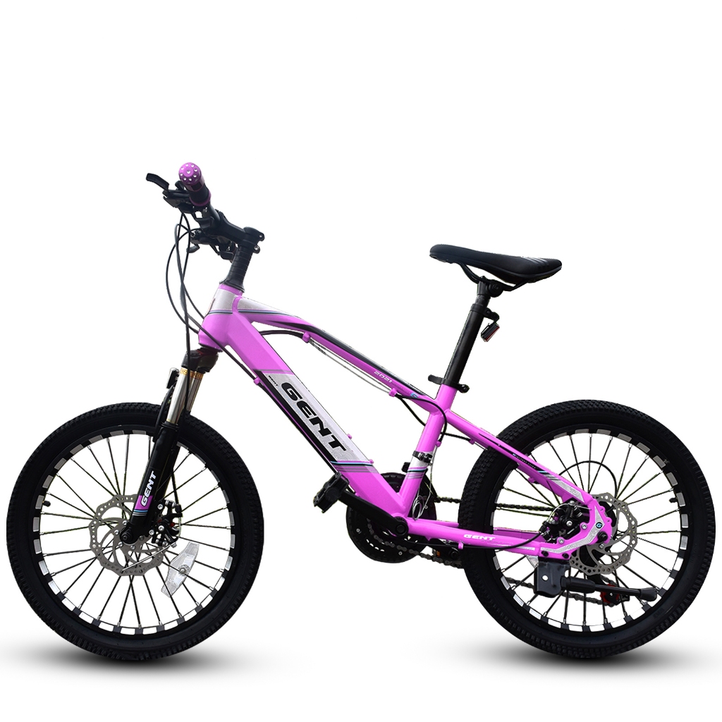 JAPAN High Quality Mini Mountain Bike 20 inch Bicycle Teen Adult 117