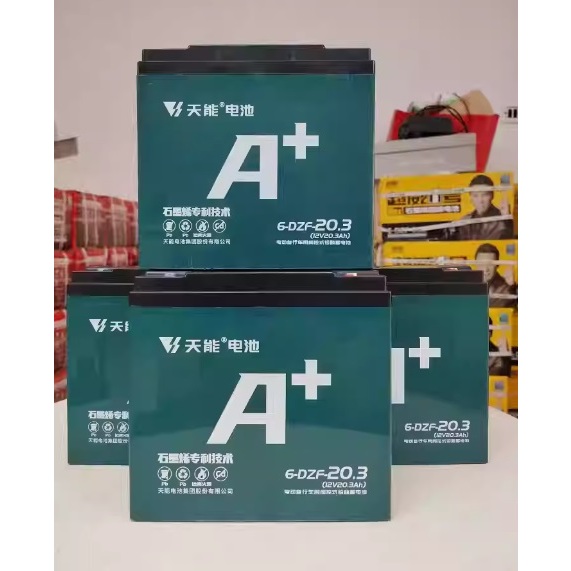 Tianneng 20.3AH 12V eBike Solar UPS Rechargeable Maintenance Free Lead