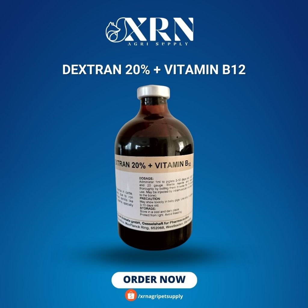 Iron Dextran 20 + Vitamin B12 100ml Injectable Shopee Philippines
