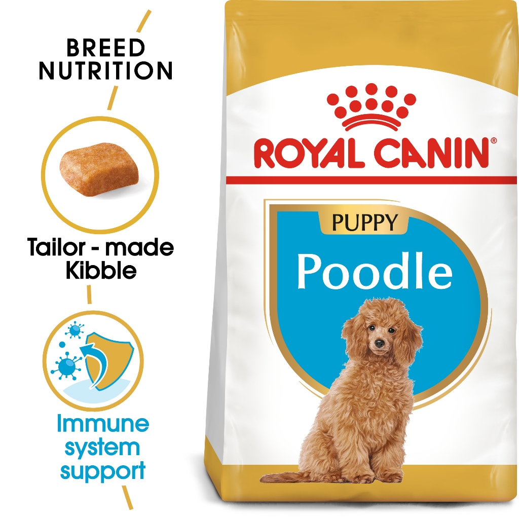 Royal canin hotsell poodle senior