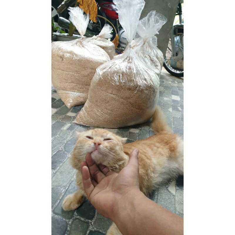 Cat Litters (PINE SAW DUST) Shopee Philippines
