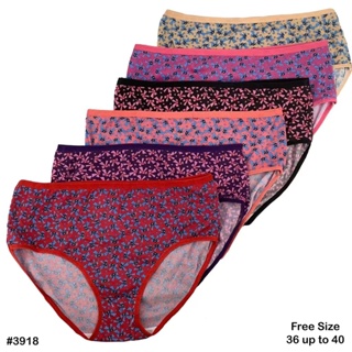 SALE 6Pcs Assorted Plus Size Panty Underwear for Women fits 38-42
