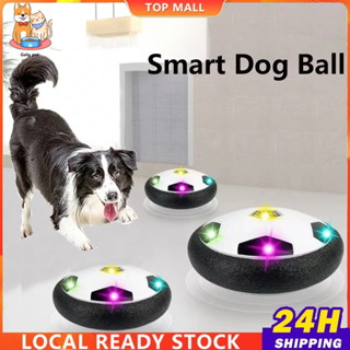 Dog toys for sale sales