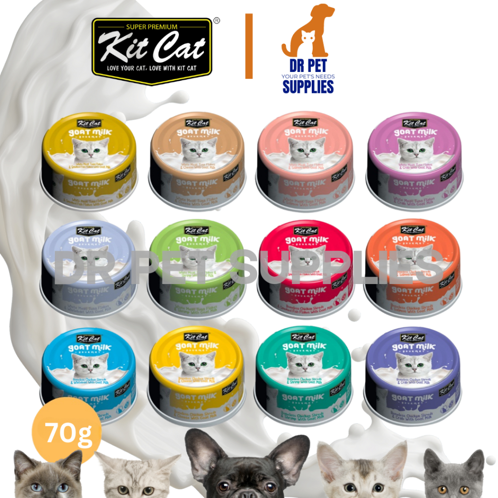 New Cat Supplies Kitten Essentials Essential Starter Kit For