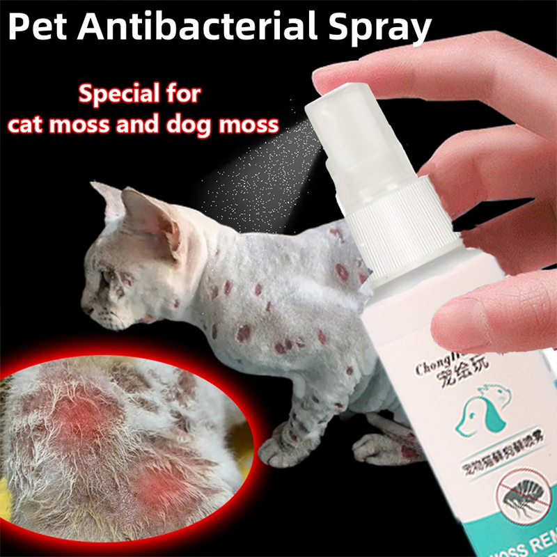 Pet Spray For Skin Disease 200ML Galis Ng Aso Gamot Dogs Cats Anti ...