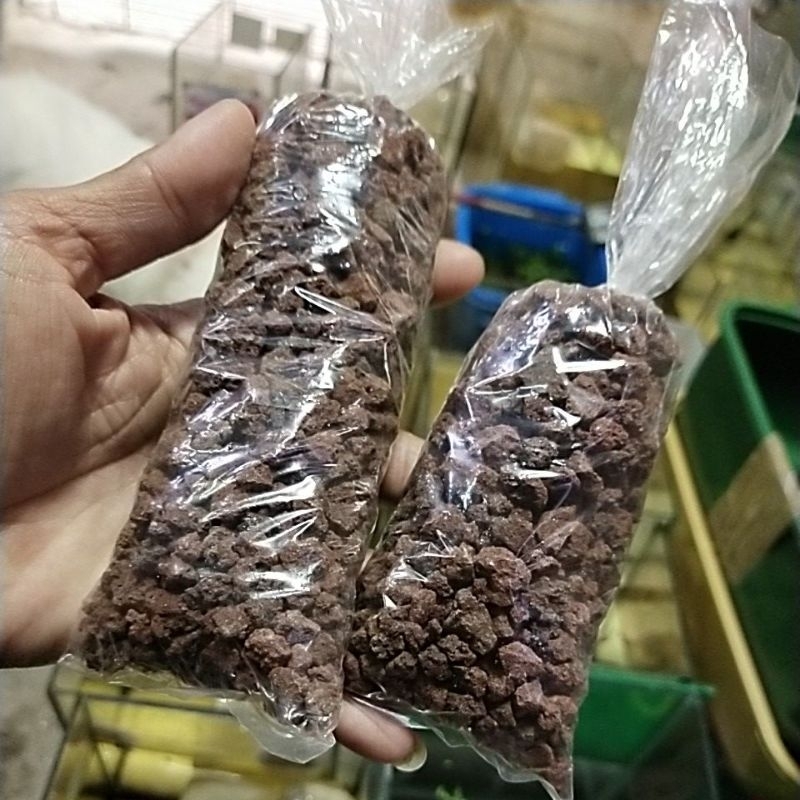 Lava rocks for your dwarf cray fish | Shopee Philippines