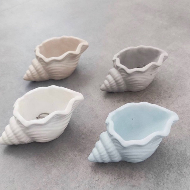 Large Rounded Conch Shell Pots for succulents, cactus, candle vessel ...