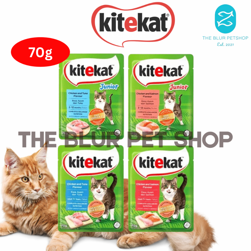 All Stages Adult Kitten 70g Kitekat Cat Wet Food Cats Snack Pouch