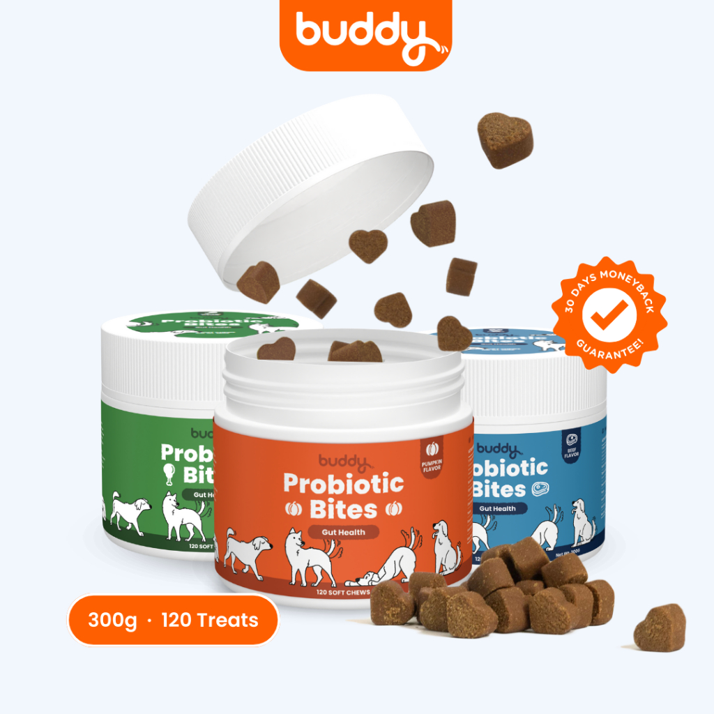 Buddy Probiotic Bites for Dogs Healthy Gut Dog Treats and Appetite