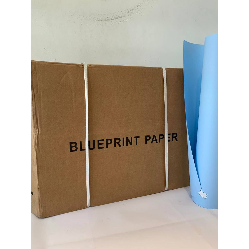 Digital Blueprint Paper 30