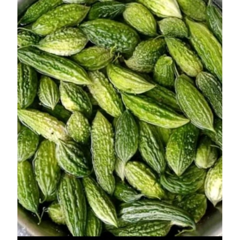 Ampalaya ilocano native.. Ampalaya certified seeds(5 seeds) | Shopee ...