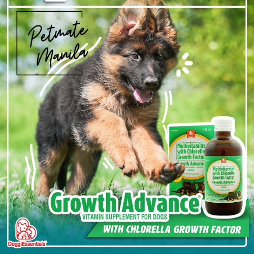 GROWTH ADVANCE 120ml Growth Enhancher Dog Pet Vitamins Shopee Philippines