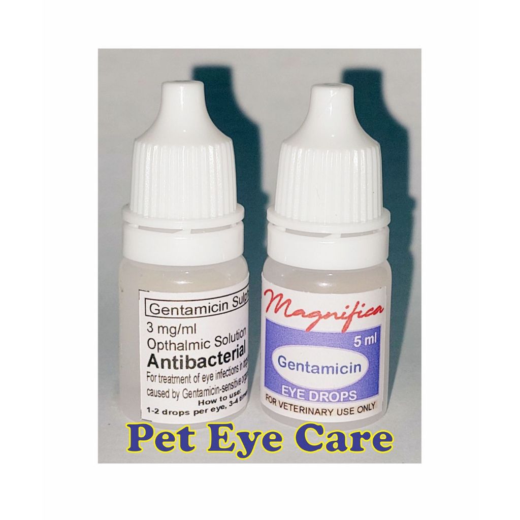 Gentamicin Eye Drops by Magnifica for Dogs and Cats Shopee Philippines