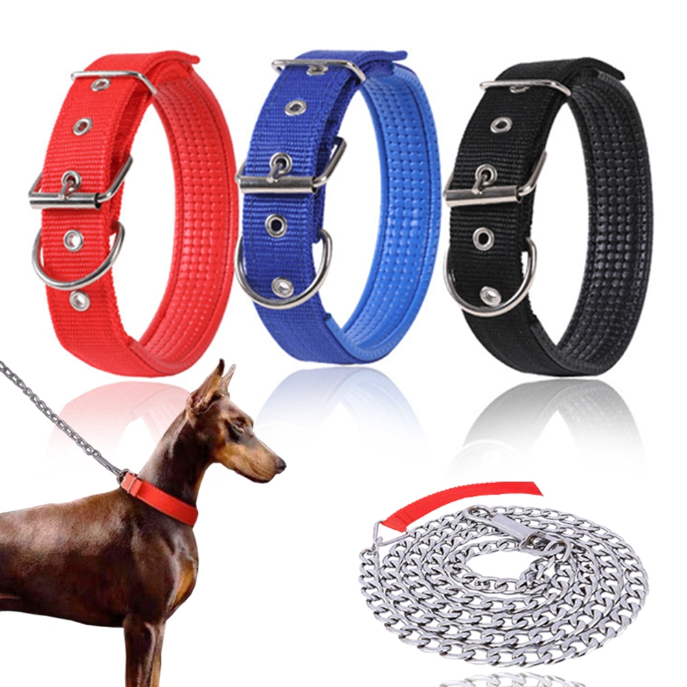 For Shih Tzu India Leash With Harness Beau Gentle Leader Front