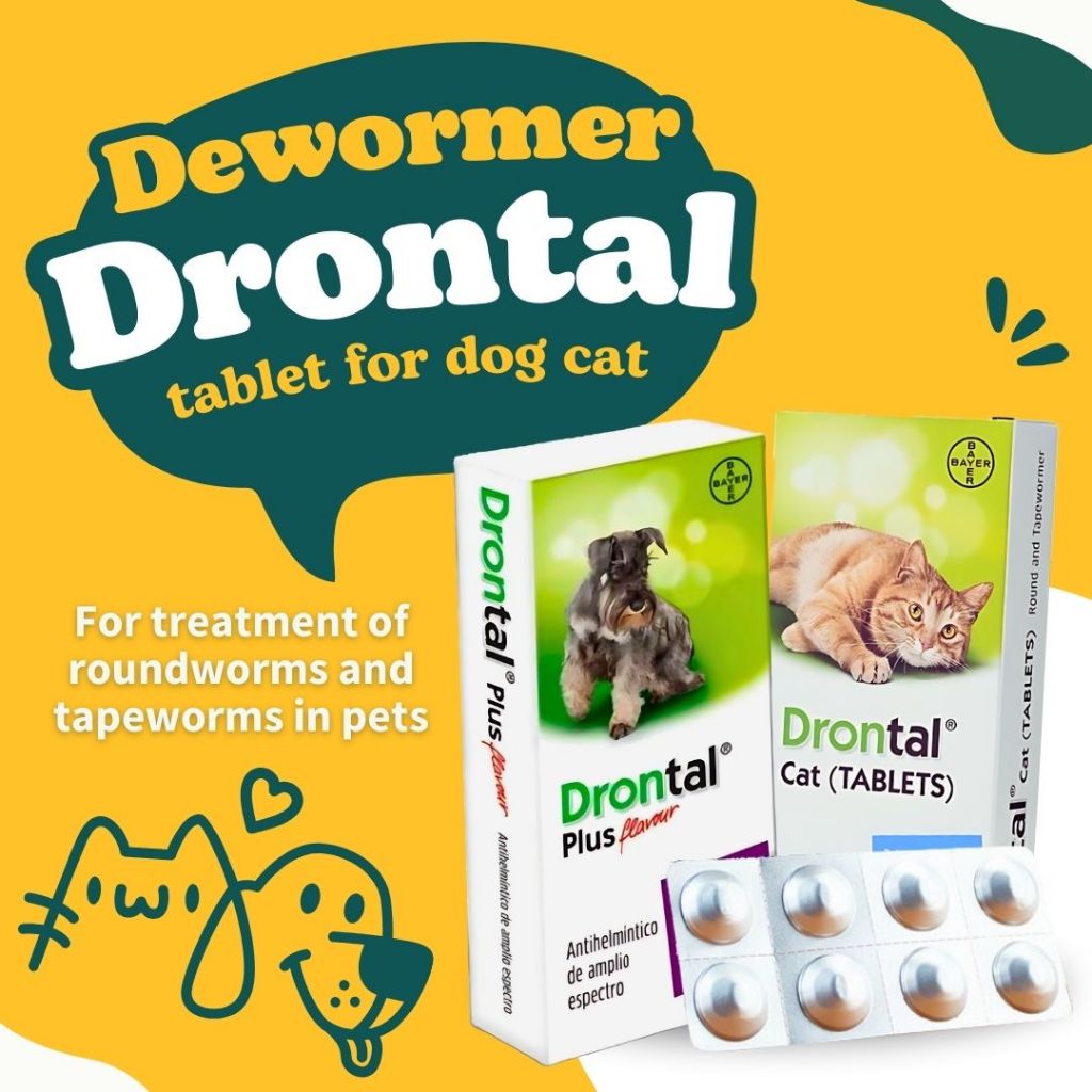 Drontal Plus Tablet 1pc for Dog Cat Deworming Roundworms Hookworms ...