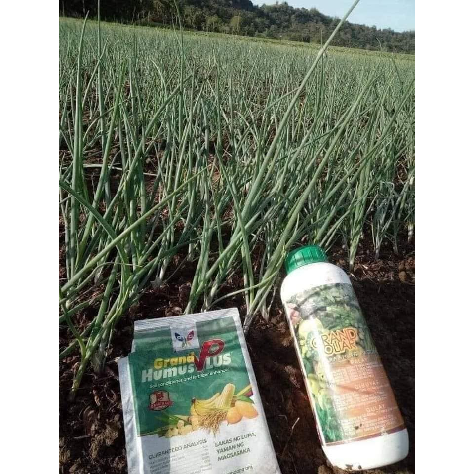 Grand Humus Plus and Grand Foliar bundle | Shopee Philippines