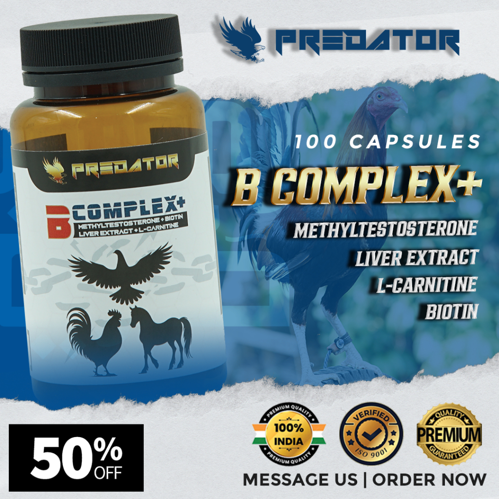 Predator | B Complex+ | 100 Capsules | Veterinary Use Only | Shopee ...