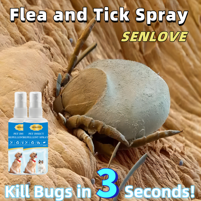 Tick And Flea Remover Garapata Killer For Dog Kuto Ng Aso Remover Dog ...