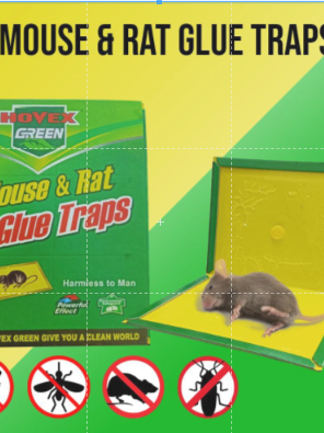 Mouse trap/Rodent expert/Rat Glue snare/sticker mice board SET OF 10 ...