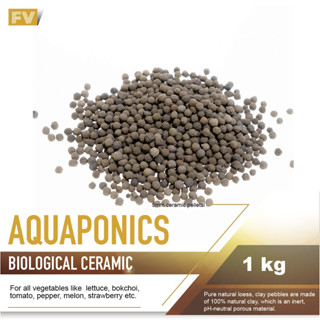 066 Bio Ceramic Pebbles 1kg | pellets aquatic ceramic pellets filter ...