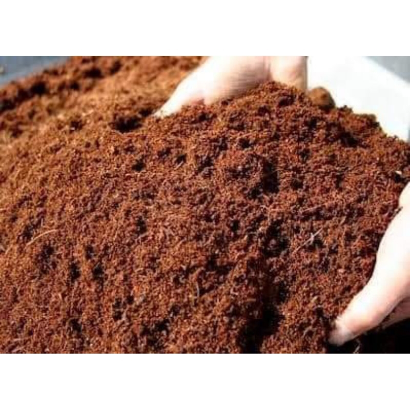 1 kilo cocopeat ( pinong pino ) Ang ganda sa Halaman | Shopee Philippines