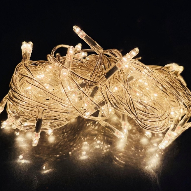 Christmas Light Rice Light 80L(flash) | Shopee Philippines