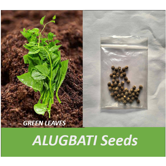 GREEN ALUGBATI Seeds | Shopee Philippines