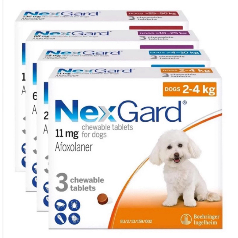 Nexgard Anti Tick and Flea Chewable for Dogs with Sticker Sold per ...