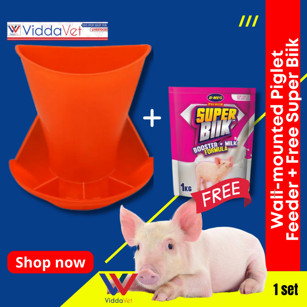 Piglet feeding trough Piglet Feeding Automatic Feeder Plastic B Meg ...