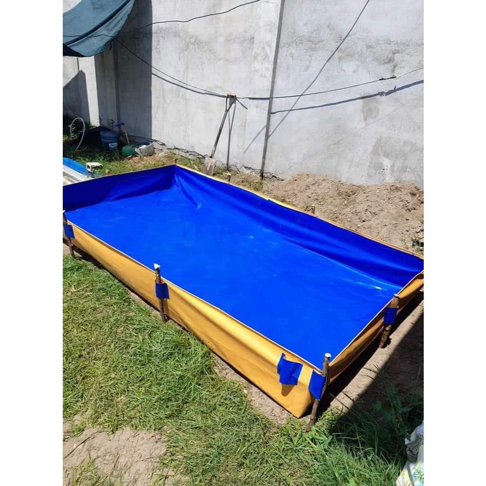 2X6X1 FEET TRAPOND AZOLLA POND HOMSTAR BRAND HIGH QUALTIY TRAPOND FISH ...