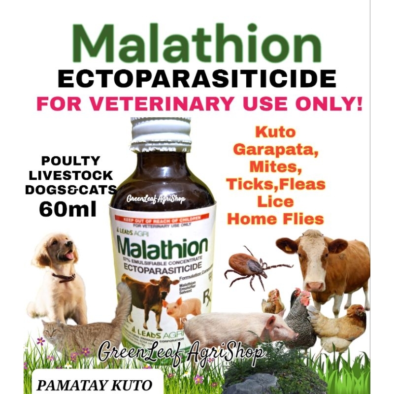 Malathion 57concentrate Ectoparasiticidepamatay Kutokills Lice