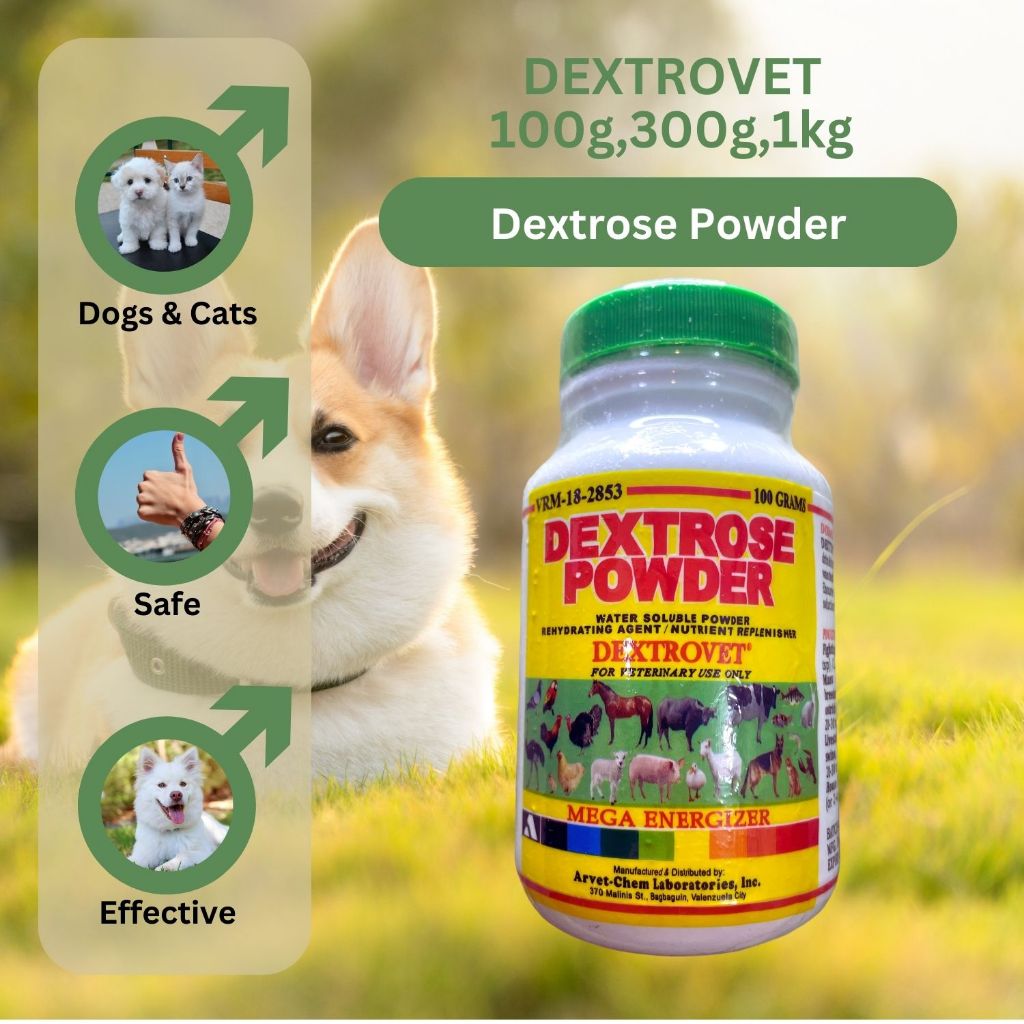 DEXTROVET Dextrose Powder 100g 300g 1kg Shopee Philippines