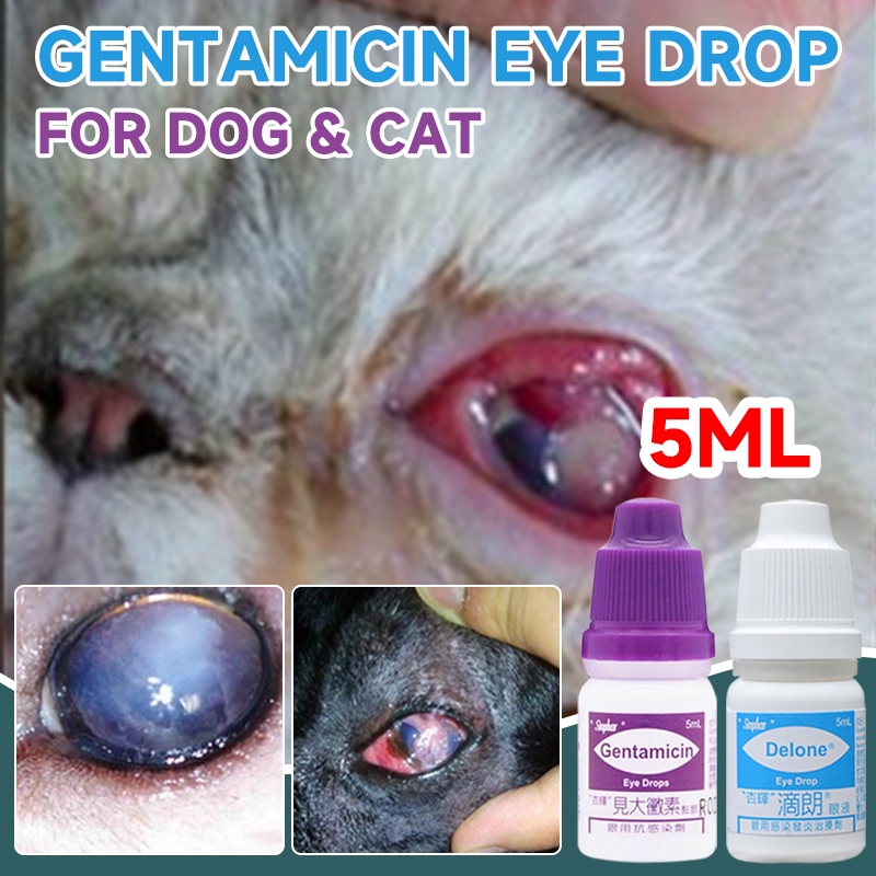 WUTUNS Gentamicin Eye Drops Pet Eye Drops For Cat Dogs Anti