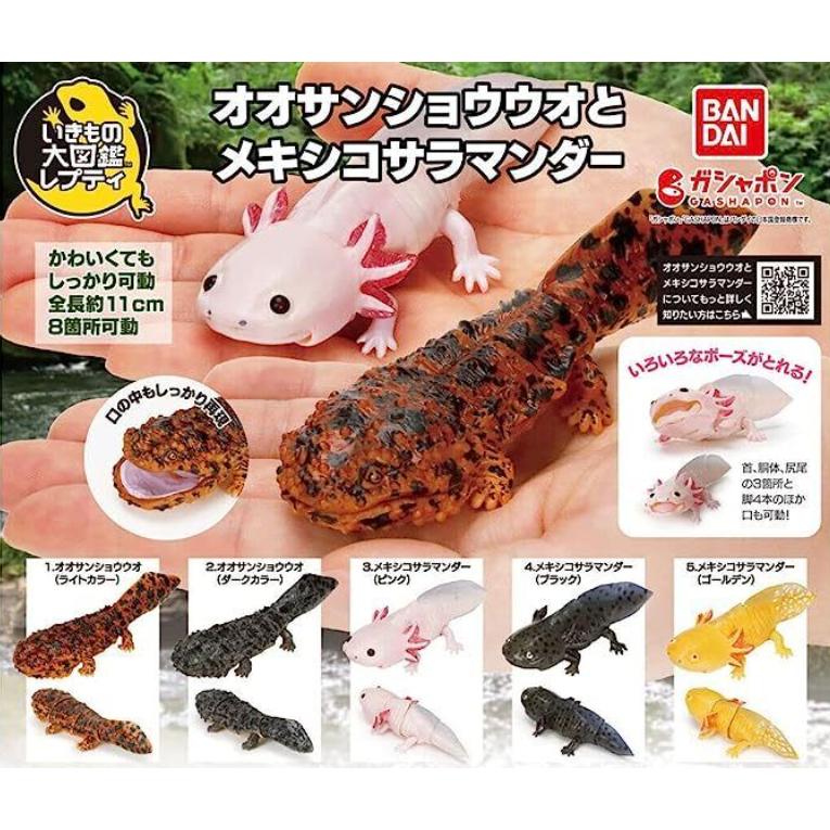 BANDAI Giant Salamander And Mexican Salamander Shopee Philippines