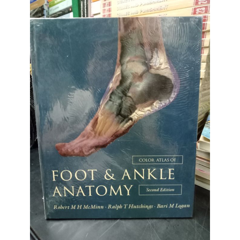 Foot and Ankle Anatomy | Shopee Philippines