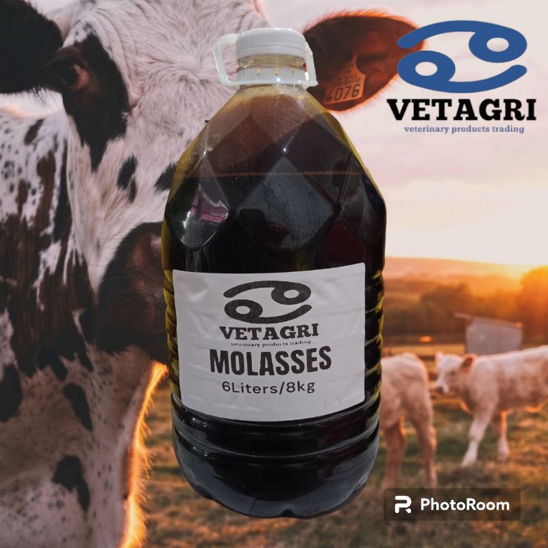 MOLASSES FOR ALL ANIMALS AND PLANT FERTILIZER HORSES COW PIG